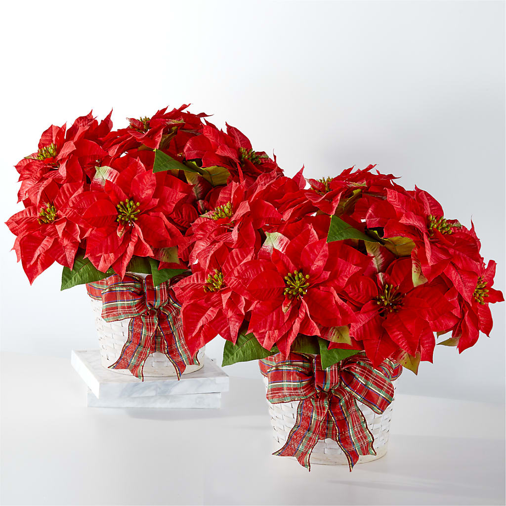 Happiest Holidays Poinsettia Bundle – ANGEL'S FLOWERS AND GIFTS, San Jose CA