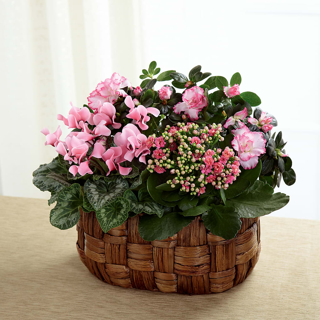 Pink Assortment – ANGEL'S FLOWERS AND GIFTS, San Jose CA