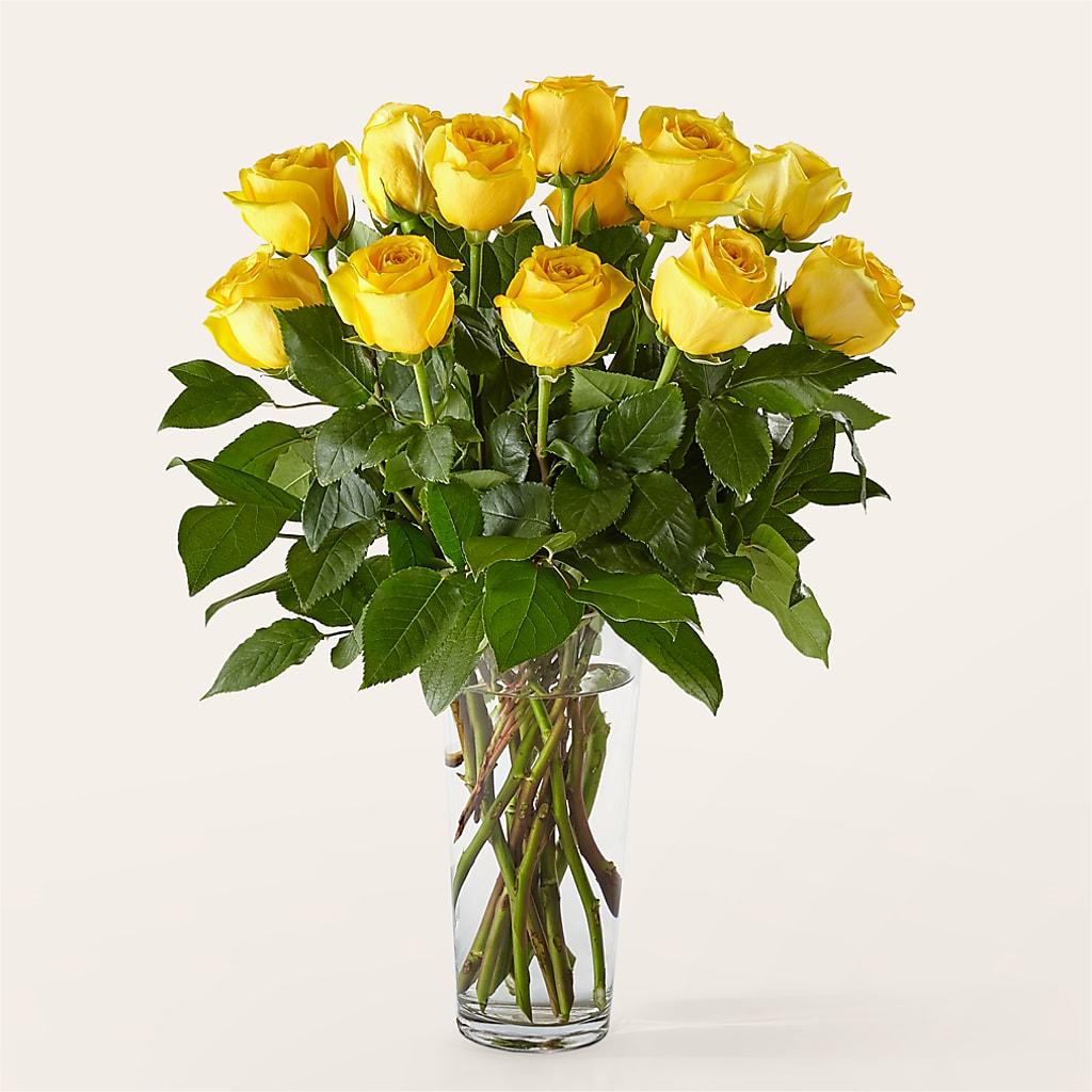 Long Stem Yellow Rose Bouquet – ANGEL'S FLOWERS AND GIFTS, San Jose CA