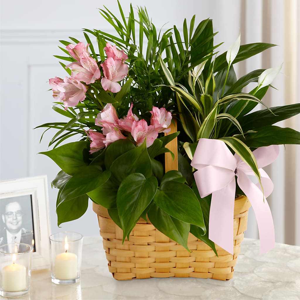 Living Spirit Dishgarden – ANGEL'S FLOWERS AND GIFTS, San Jose CA