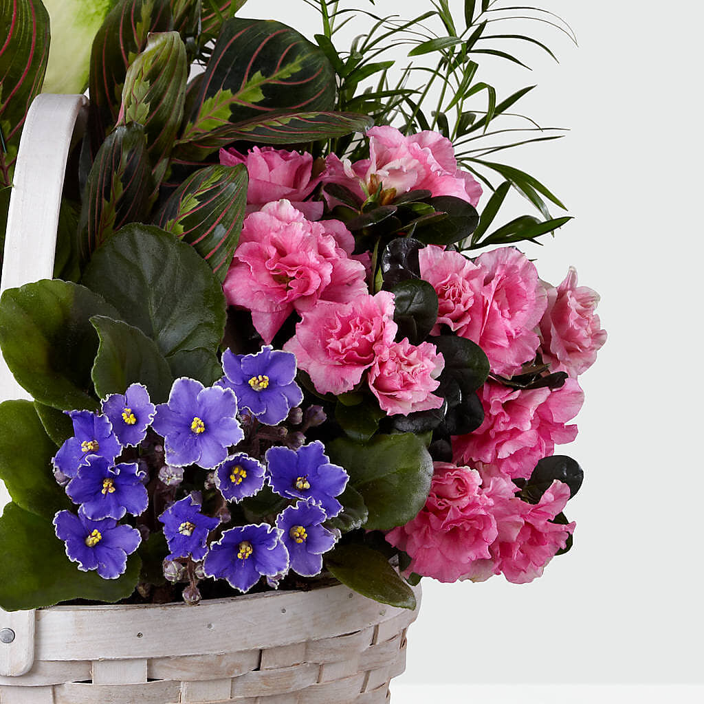Peaceful Garden Planter – ANGEL'S FLOWERS AND GIFTS, San Jose CA
