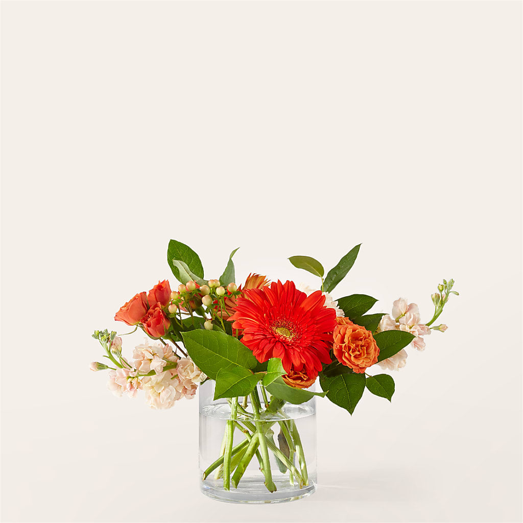 Paloma Please Bouquet – ANGEL'S FLOWERS AND GIFTS, San Jose CA