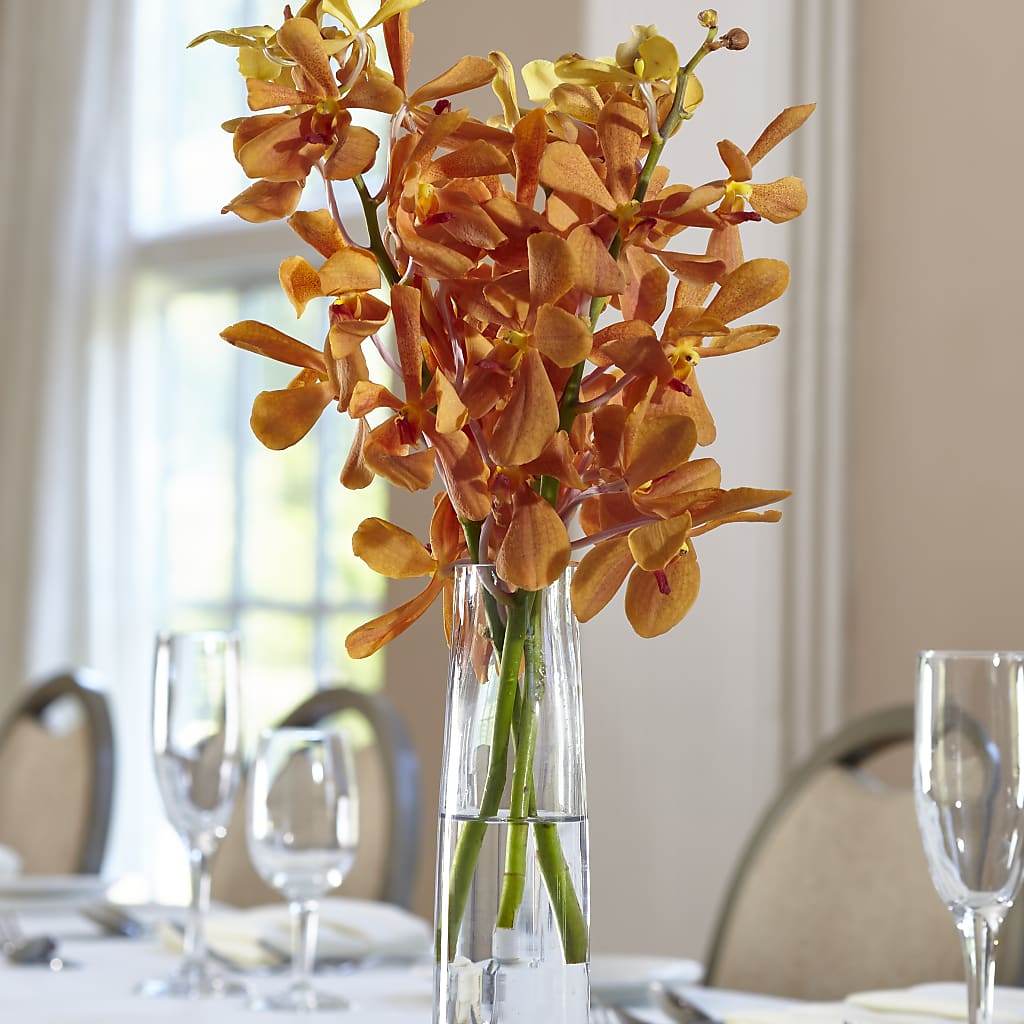 Orange Mokara Bud Vase – ANGEL'S FLOWERS AND GIFTS, San Jose CA