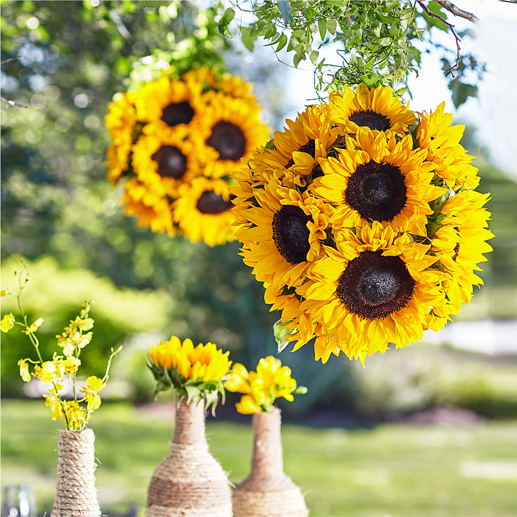 Sublime Garden Hanging Arrangement – ANGEL'S FLOWERS AND GIFTS, San Jose CA