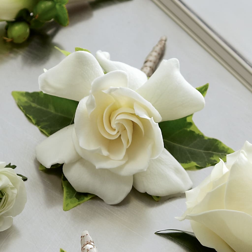 Gardenia Boutonniere – ANGEL'S FLOWERS AND GIFTS, San Jose CA