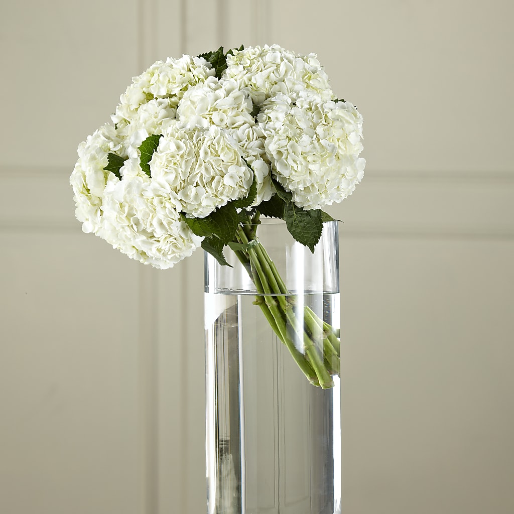 White Hydrangea Hand-Tied Bouquet – ANGEL'S FLOWERS AND GIFTS, San Jose CA