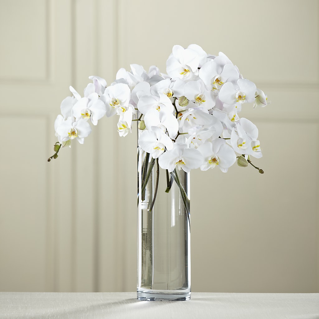 White Phalaenopsis Bouquet – ANGEL'S FLOWERS AND GIFTS, San Jose CA