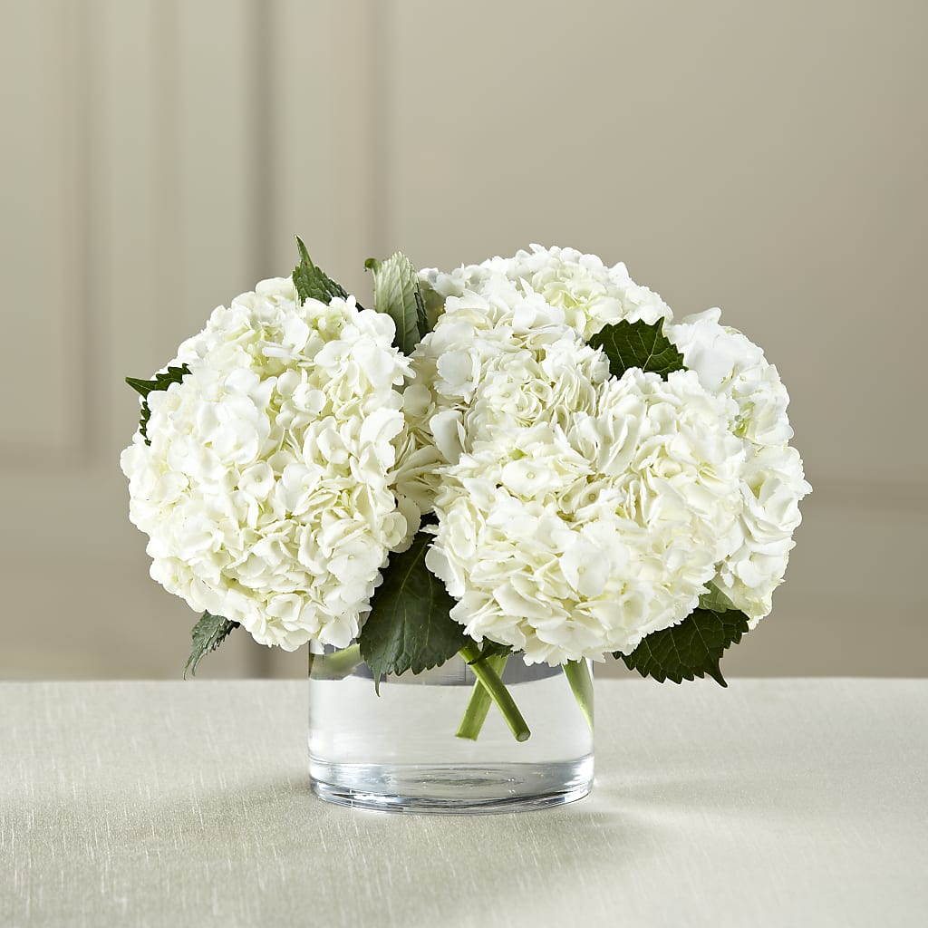 White Hydrangea Bouquet – ANGEL'S FLOWERS AND GIFTS, San Jose CA