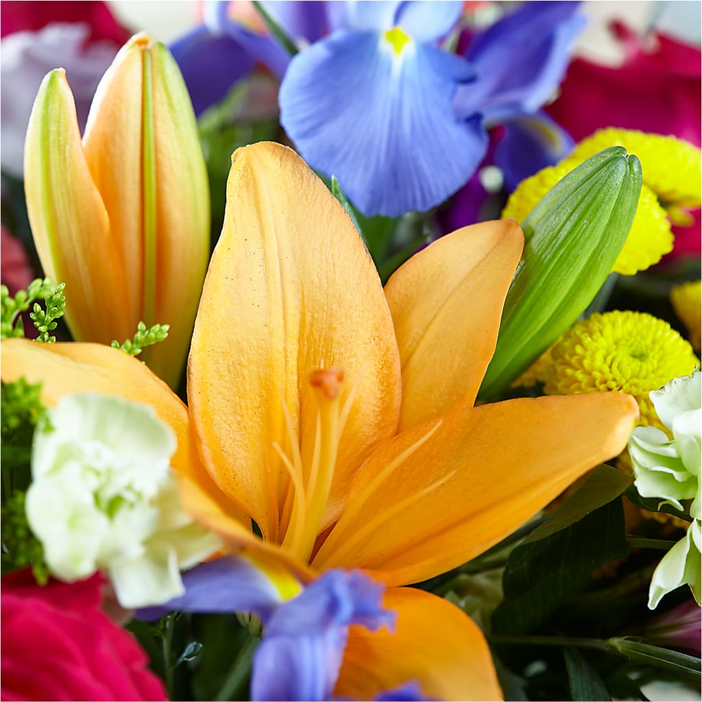 Bold & Bright – A Florist Original – ANGEL'S FLOWERS AND GIFTS, San Jose CA