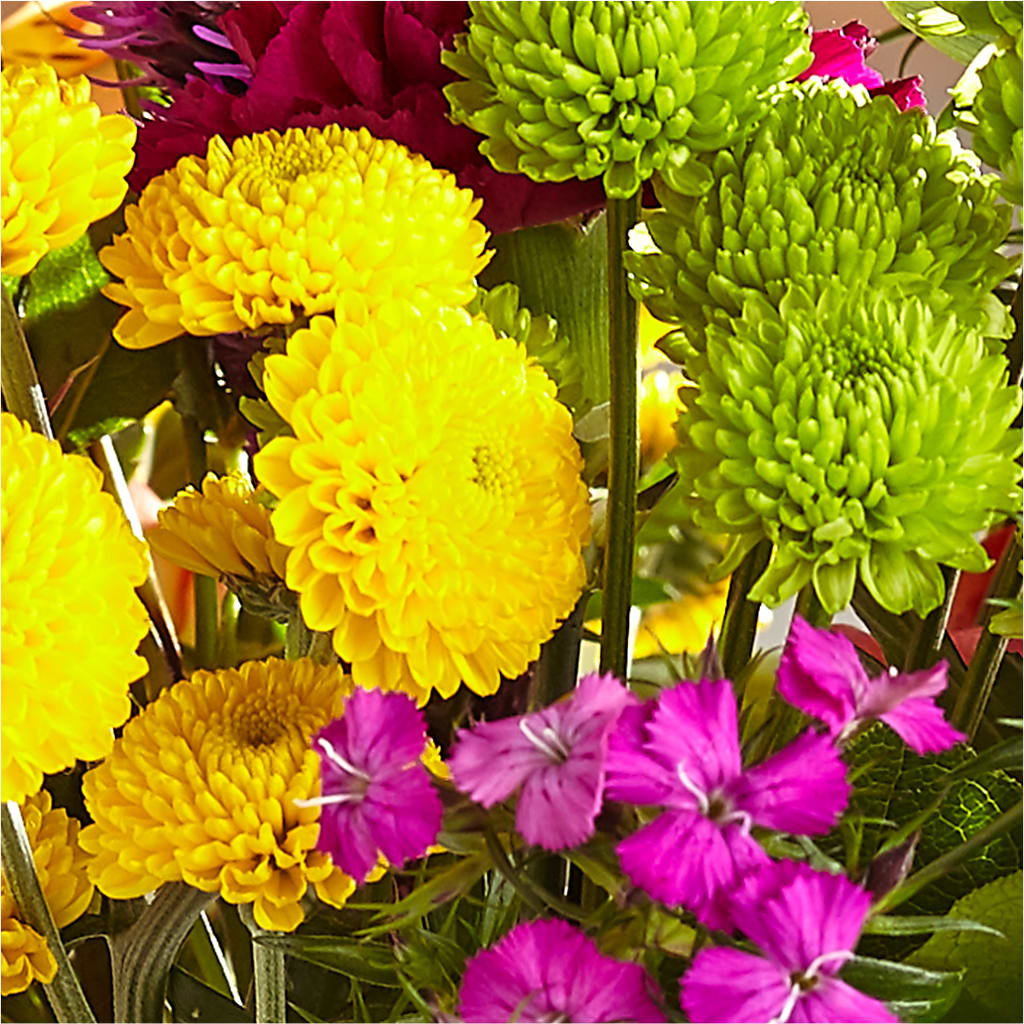 Bold & Bright – A Florist Original – ANGEL'S FLOWERS AND GIFTS, San Jose CA