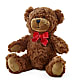 Adorable Plush Bear – ANGEL'S FLOWERS AND GIFTS, San Jose CA