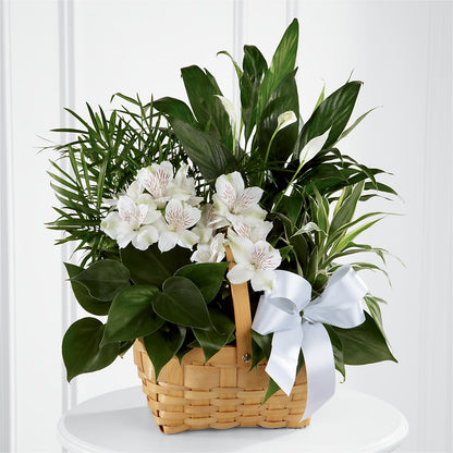 Peace & Serenity Dishgarden – ANGEL'S FLOWERS AND GIFTS, San Jose CA