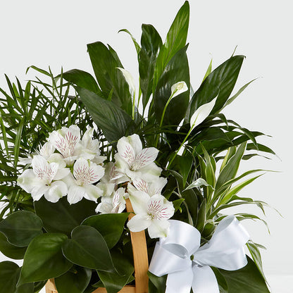 Peace & Serenity Dishgarden – ANGEL'S FLOWERS AND GIFTS, San Jose CA