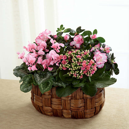 Pink Assortment – ANGEL'S FLOWERS AND GIFTS, San Jose CA