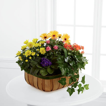 Gentle Blossoms Basket – ANGEL'S FLOWERS AND GIFTS, San Jose CA