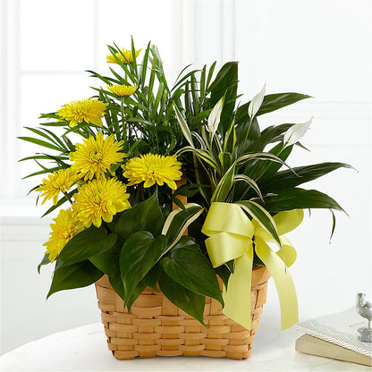 Loving Light Dishgarden – ANGEL'S FLOWERS AND GIFTS, San Jose CA