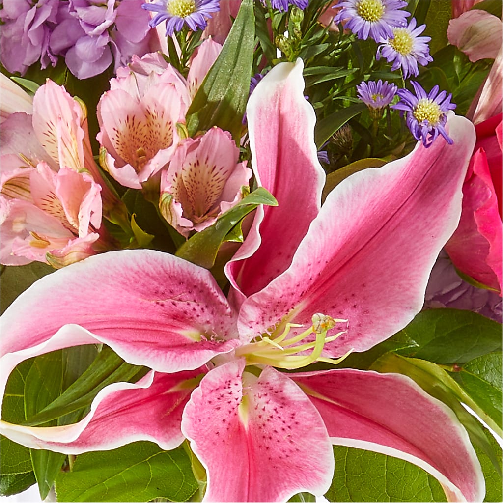 Written in the Stars Bouquet – ANGEL'S FLOWERS AND GIFTS, San Jose CA