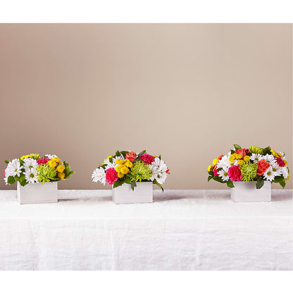 Sorbet Bouquet – ANGEL'S FLOWERS AND GIFTS, San Jose CA