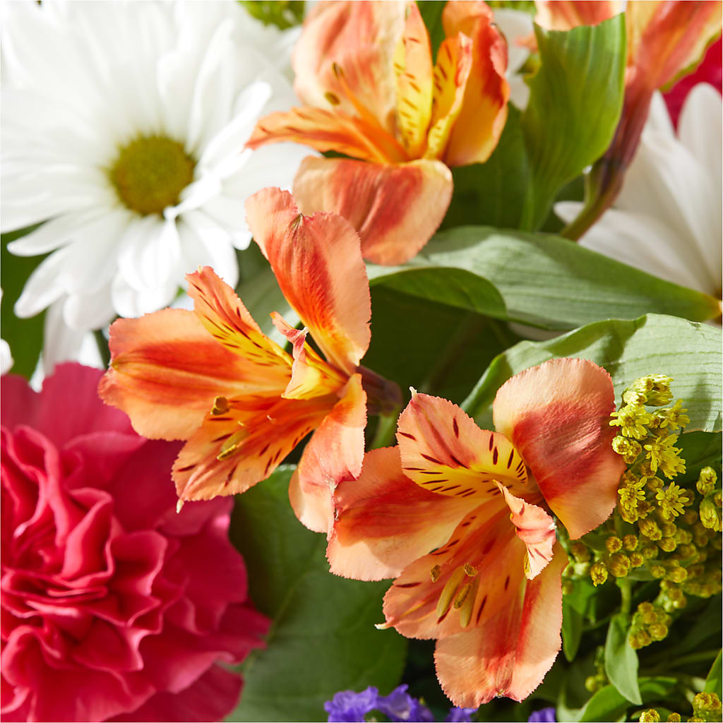 Oopsie Daisy Box Bouquet – ANGEL'S FLOWERS AND GIFTS, San Jose CA