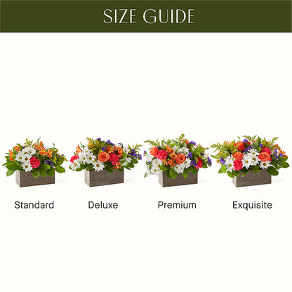 Oopsie Daisy Box Bouquet – ANGEL'S FLOWERS AND GIFTS, San Jose CA