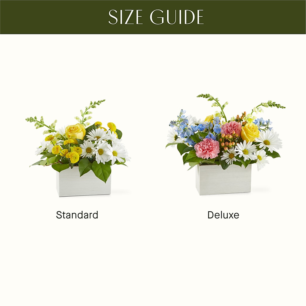 Sun Salutation Box Bouquet – ANGEL'S FLOWERS AND GIFTS, San Jose CA