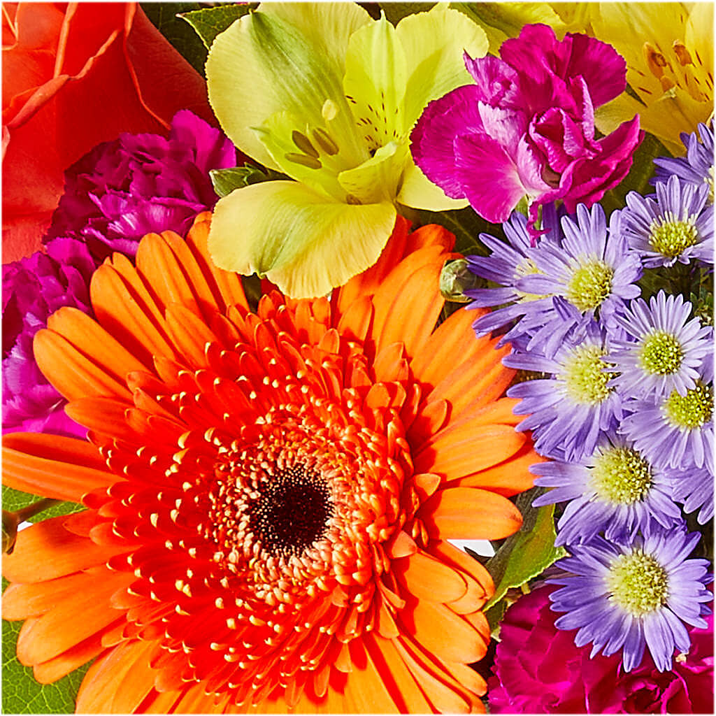 Tricks & Treats Pumpkin – ANGEL'S FLOWERS AND GIFTS, San Jose CA