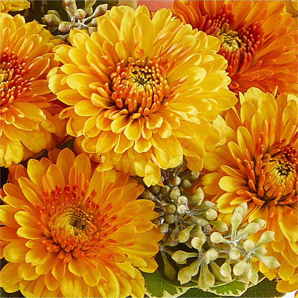 Peachy Pumpkin – ANGEL'S FLOWERS AND GIFTS, San Jose CA