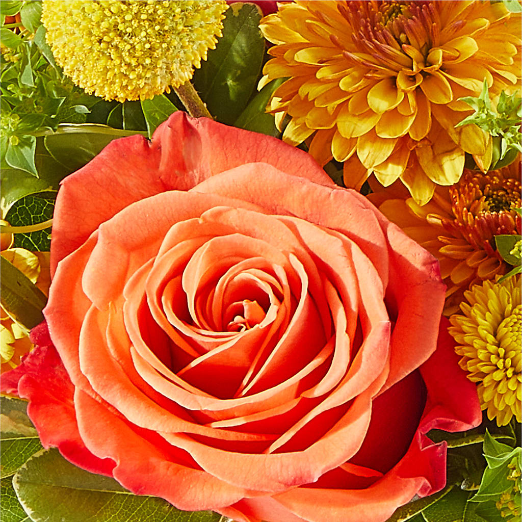 Gourdgeous Pumpkin – ANGEL'S FLOWERS AND GIFTS, San Jose CA