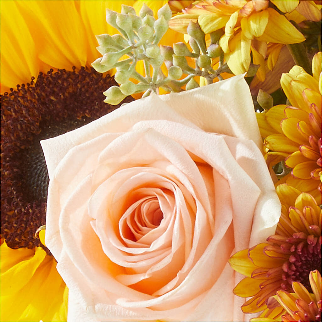 Pumpkin to Talk About Bouquet – ANGEL'S FLOWERS AND GIFTS, San Jose CA