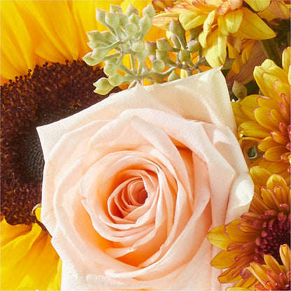 Pumpkin to Talk About Bouquet – ANGEL'S FLOWERS AND GIFTS, San Jose CA