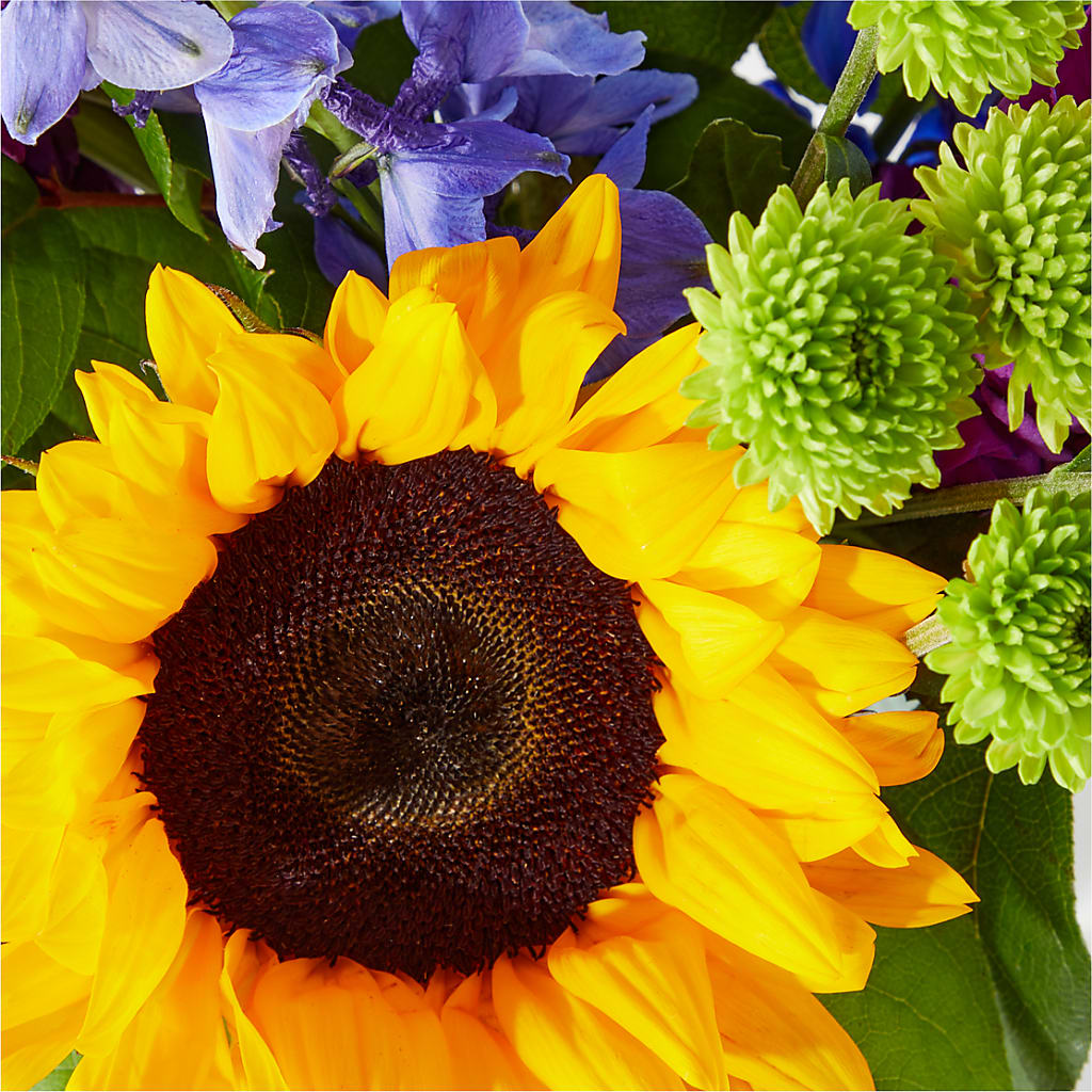 Catching Rays Bouquet – ANGEL'S FLOWERS AND GIFTS, San Jose CA