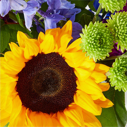 Catching Rays Bouquet – ANGEL'S FLOWERS AND GIFTS, San Jose CA