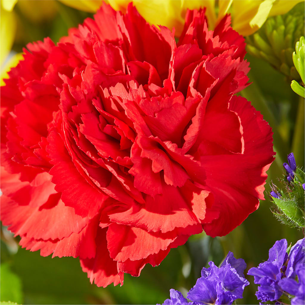 Brighter Days Bouquet – ANGEL'S FLOWERS AND GIFTS, San Jose CA