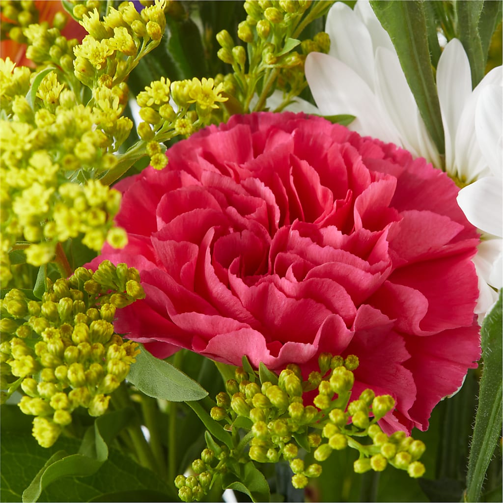 Oopsie Daisy Bouquet – ANGEL'S FLOWERS AND GIFTS, San Jose CA