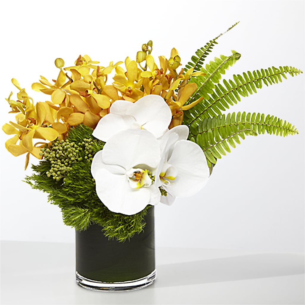 The Tropics – ANGEL'S FLOWERS AND GIFTS, San Jose CA