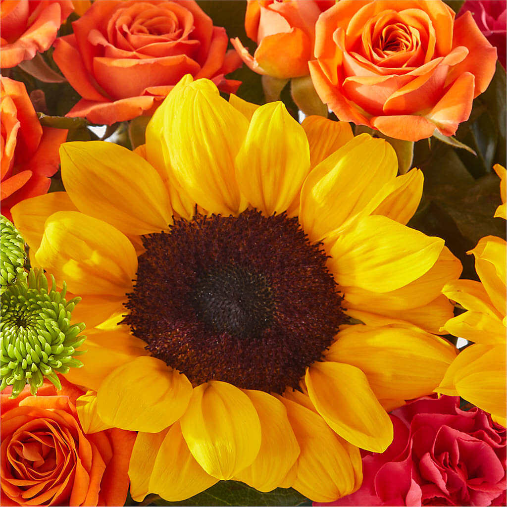 Sun-drenched Blooms Box Bouquet – ANGEL'S FLOWERS AND GIFTS, San Jose CA