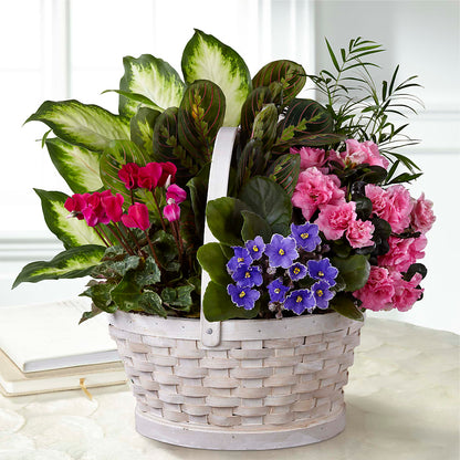 Peaceful Garden Planter – ANGEL'S FLOWERS AND GIFTS, San Jose CA