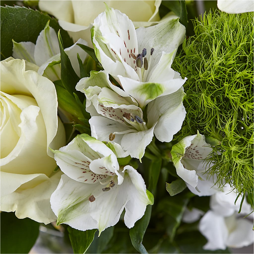 Classic Ivory – A Florist Original – ANGEL'S FLOWERS AND GIFTS, San Jose CA