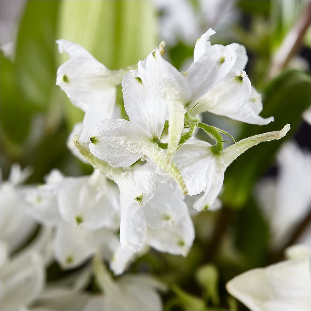 Classic Ivory – A Florist Original – ANGEL'S FLOWERS AND GIFTS, San Jose CA