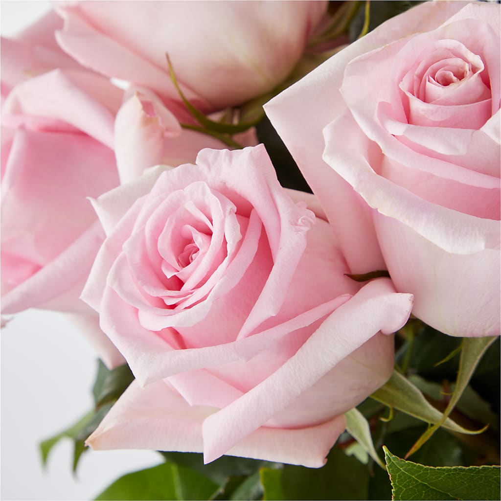 Picture Perfect Pink Rose Bouquet – ANGEL'S FLOWERS AND GIFTS, San Jose CA