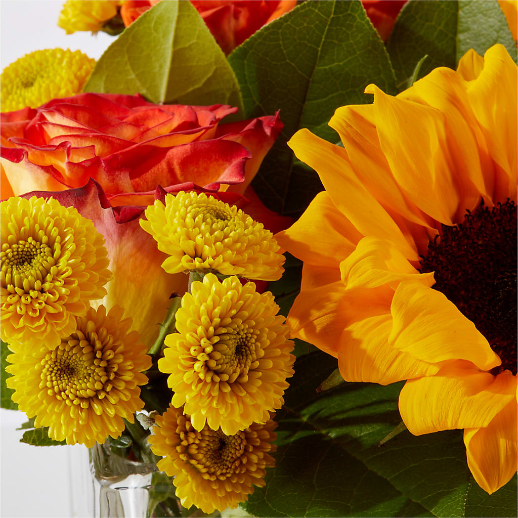 Picnic in the Park Bouquet – ANGEL'S FLOWERS AND GIFTS, San Jose CA