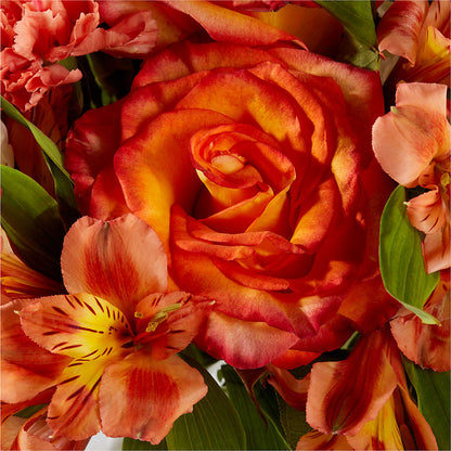 Apricot Glow Bouquet – ANGEL'S FLOWERS AND GIFTS, San Jose CA