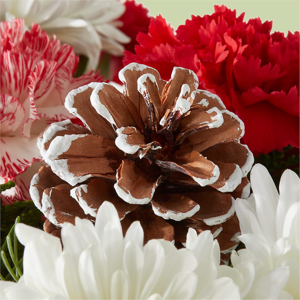 Candy Cane Lane Bouquet – ANGEL'S FLOWERS AND GIFTS, San Jose CA