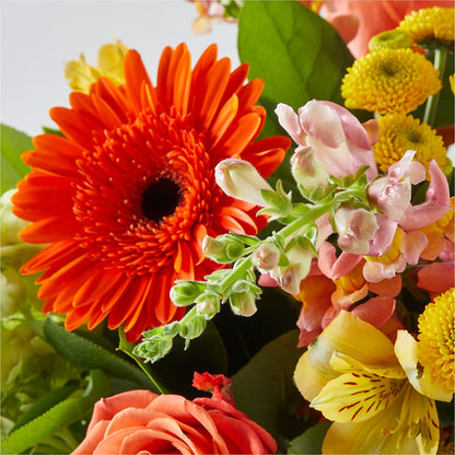 Autumn Sunshine Bouquet – ANGEL'S FLOWERS AND GIFTS, San Jose CA