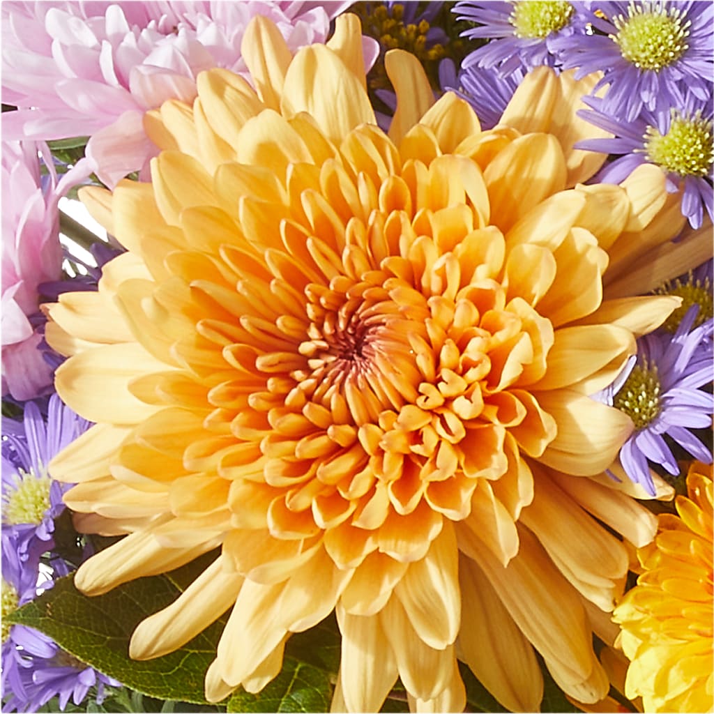 Countryside Bouquet – ANGEL'S FLOWERS AND GIFTS, San Jose CA