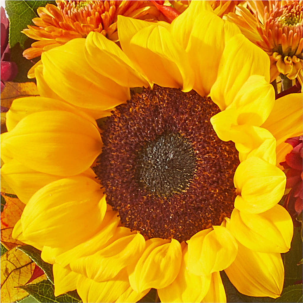 Sunny Side Bouquet – ANGEL'S FLOWERS AND GIFTS, San Jose CA