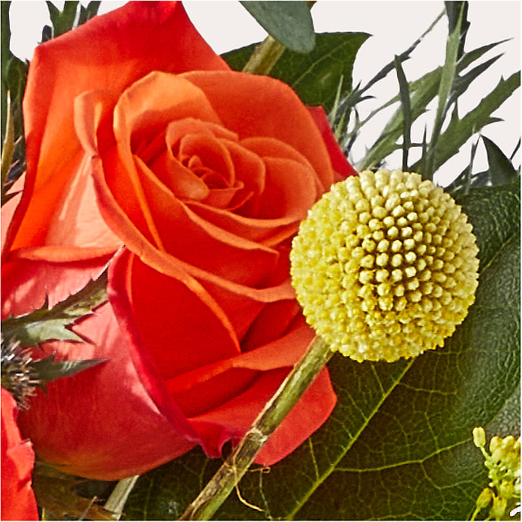 Disco Bouquet – ANGEL'S FLOWERS AND GIFTS, San Jose CA