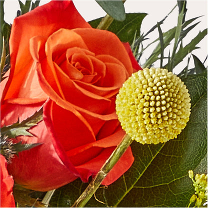 Disco Bouquet – ANGEL'S FLOWERS AND GIFTS, San Jose CA