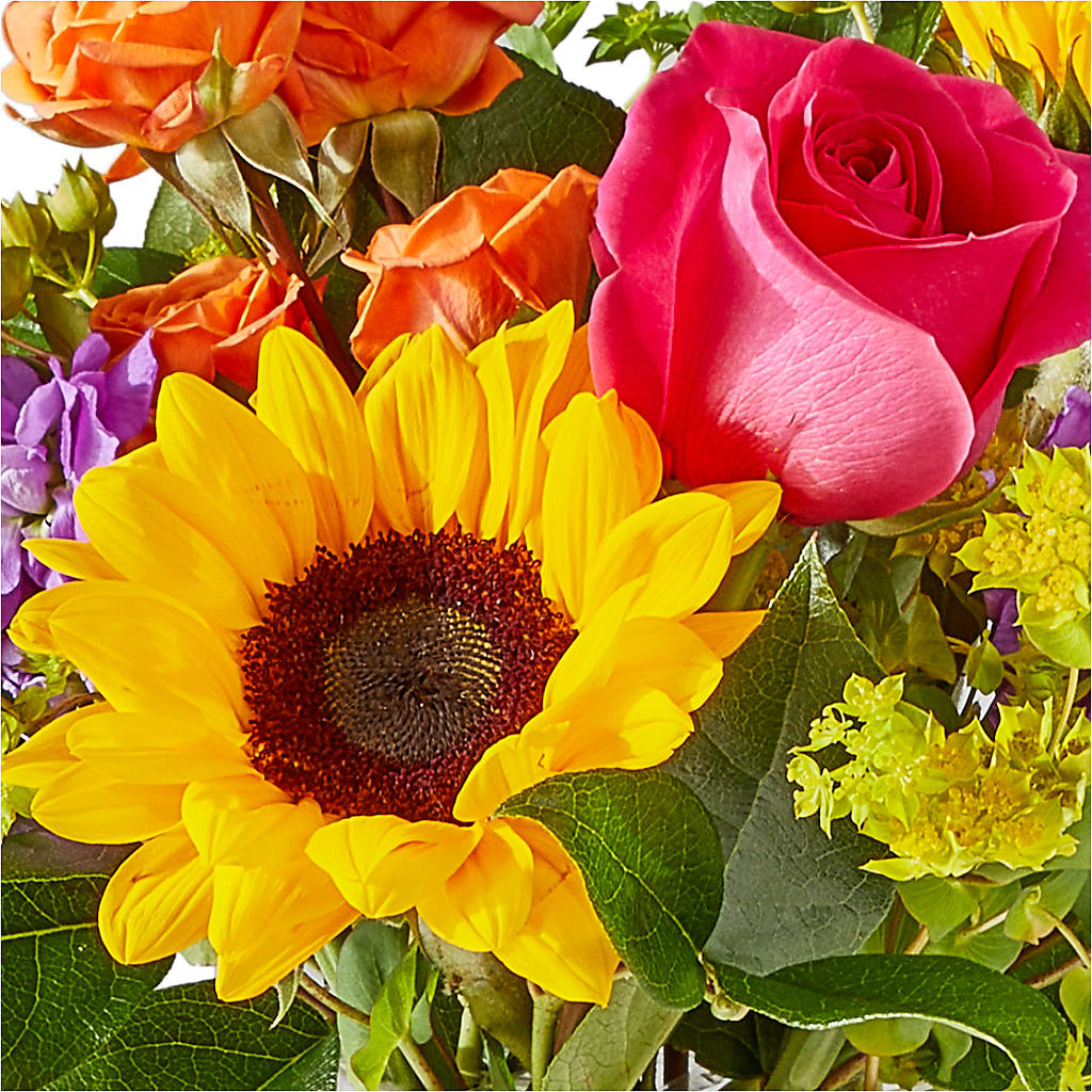 Vibrant Greetings Bouquet – ANGEL'S FLOWERS AND GIFTS, San Jose CA