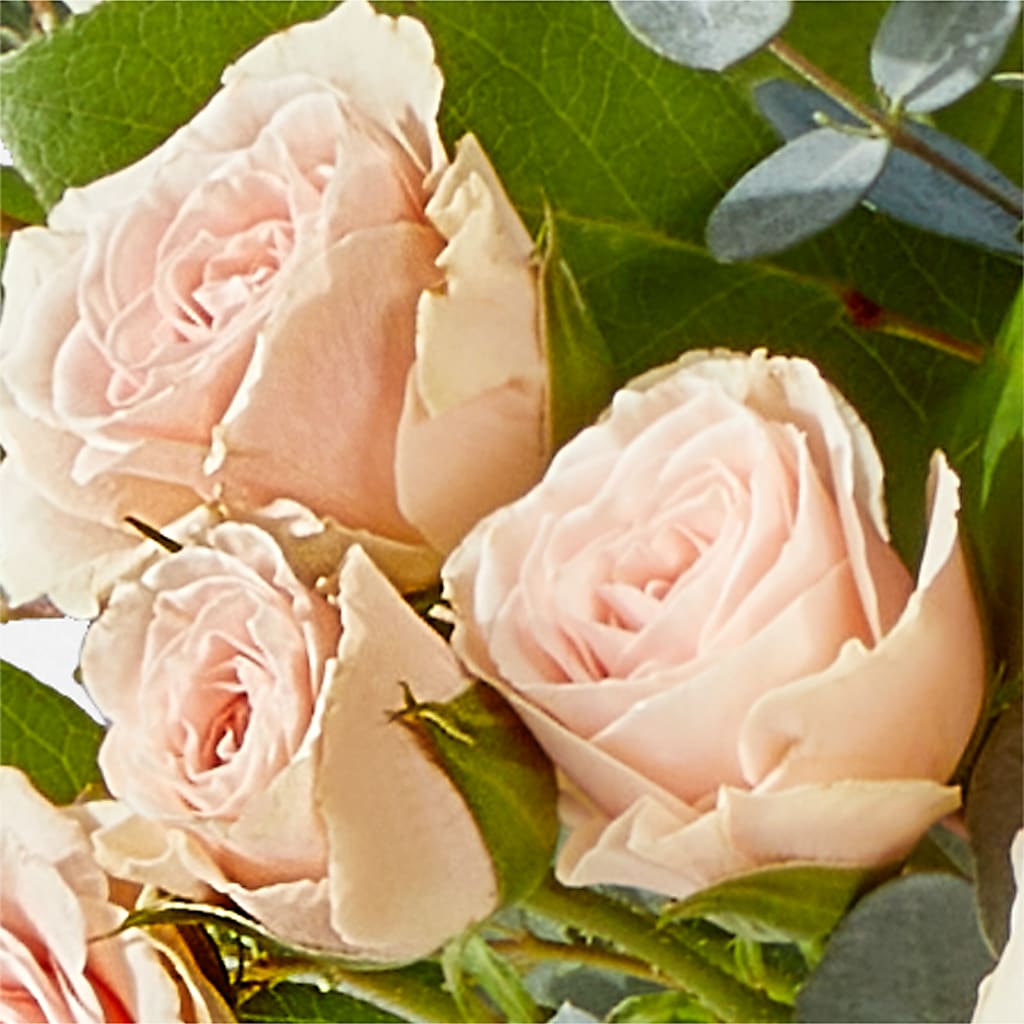 Inspired Bouquet – ANGEL'S FLOWERS AND GIFTS, San Jose CA